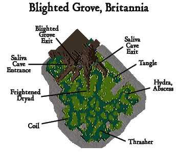 Blighted Grove Map