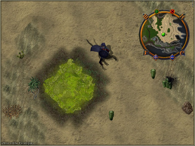 Toxic Desert