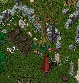 Ancient graveyard in the jungle